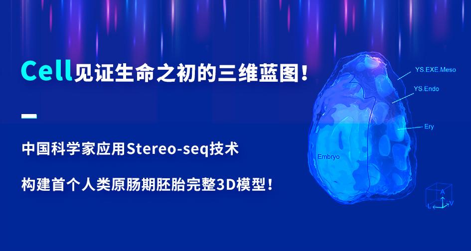 凯发k8国际首页登录